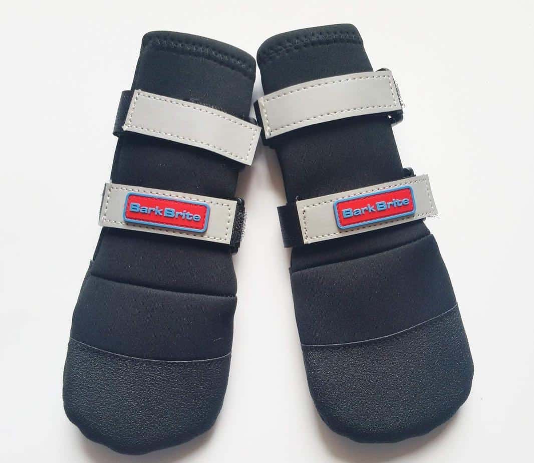 The Best Dog Boots for Hiking That You Need to Know! All Outdoors Guide