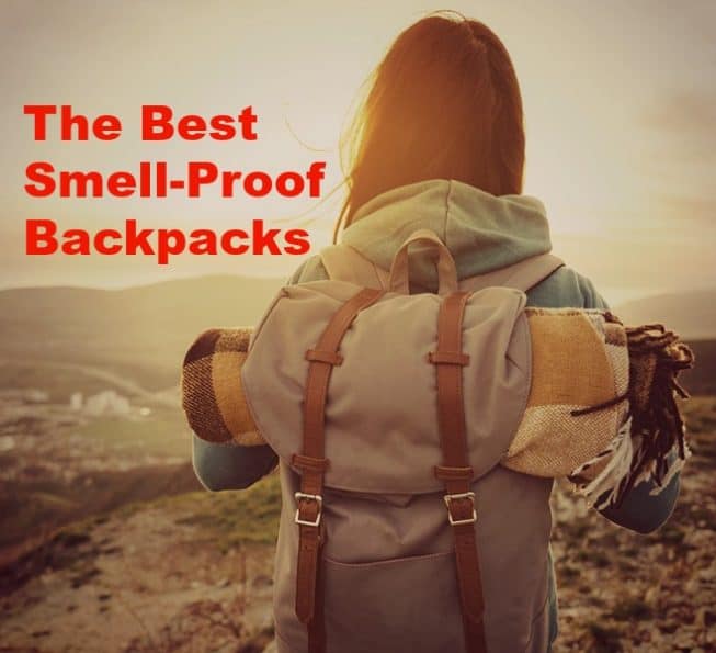 The Best SmellProof Backpacks for Safe Camping All Outdoors Guide