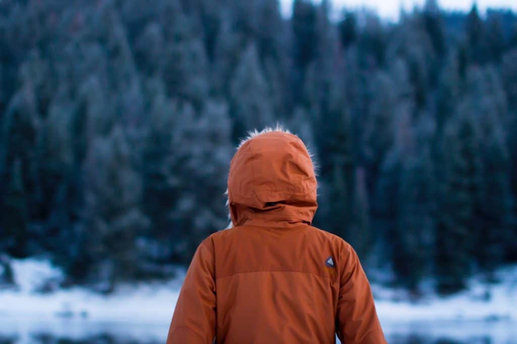 Moncler vs Canada Goose Jackets