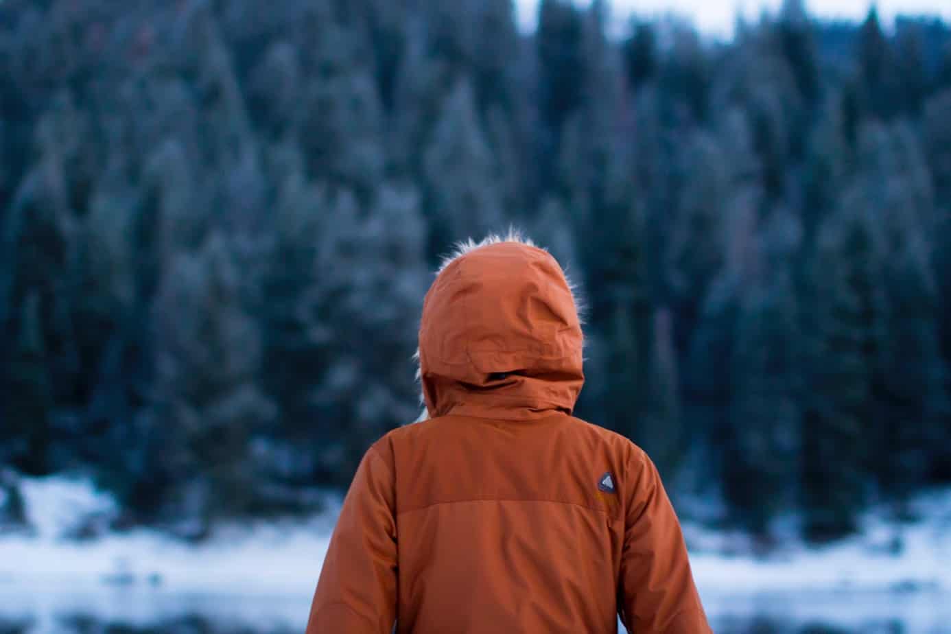 is canada goose or moncler warmer