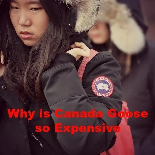 How Canada Goose Became A Jacket Luxury Brand | lupon.gov.ph