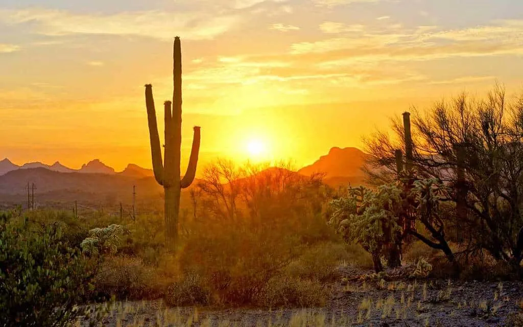 best hiking trails in arizona