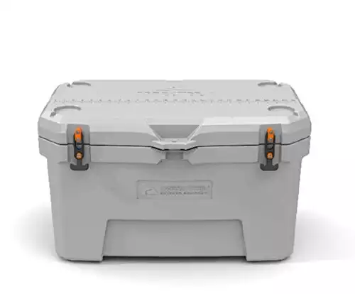 Ozark Trail 52-Quart High-Performance Cooler | Amazon