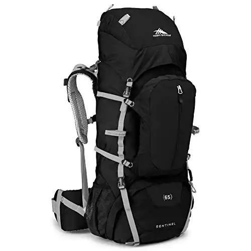 High Sierra Sentinel Backpack