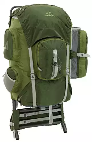 ALPS Mountaineering Zion 3900