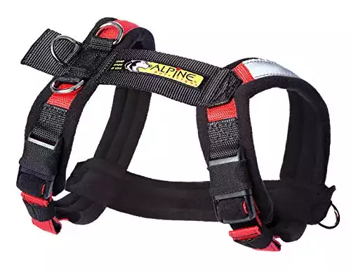 Urban Trail Padded Adjustable Dog Harness