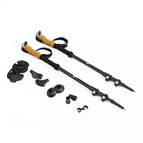 Cascade Mountain Tech Trekking Poles