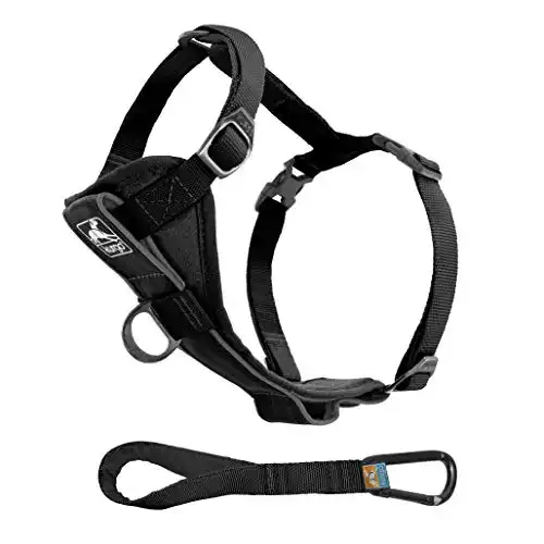 Kurgo Dog Harness