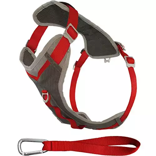 Kurgo Journey Multi-Use Dog Harness