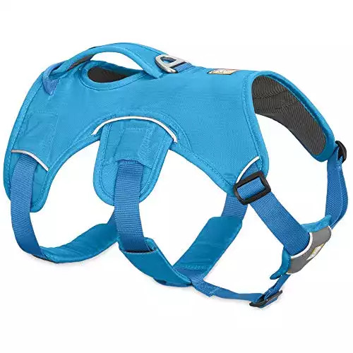 RUFFWEAR, Web Master